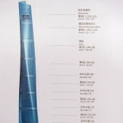 Sanghai Tower (12)